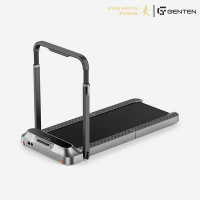 King Smith WalkingPad R2 2IN1 Folding Treadmill