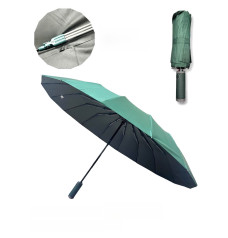 Umbrella Auto Open 12 Ribs